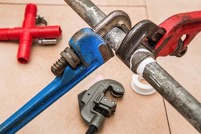 Pipe wrenches on a pipe